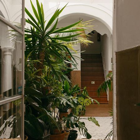 טריפה Hostal Africa מראה חיצוני תמונה