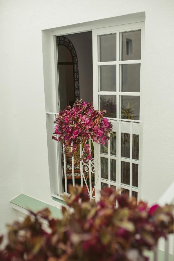 טריפה Hostal Africa מראה חיצוני תמונה