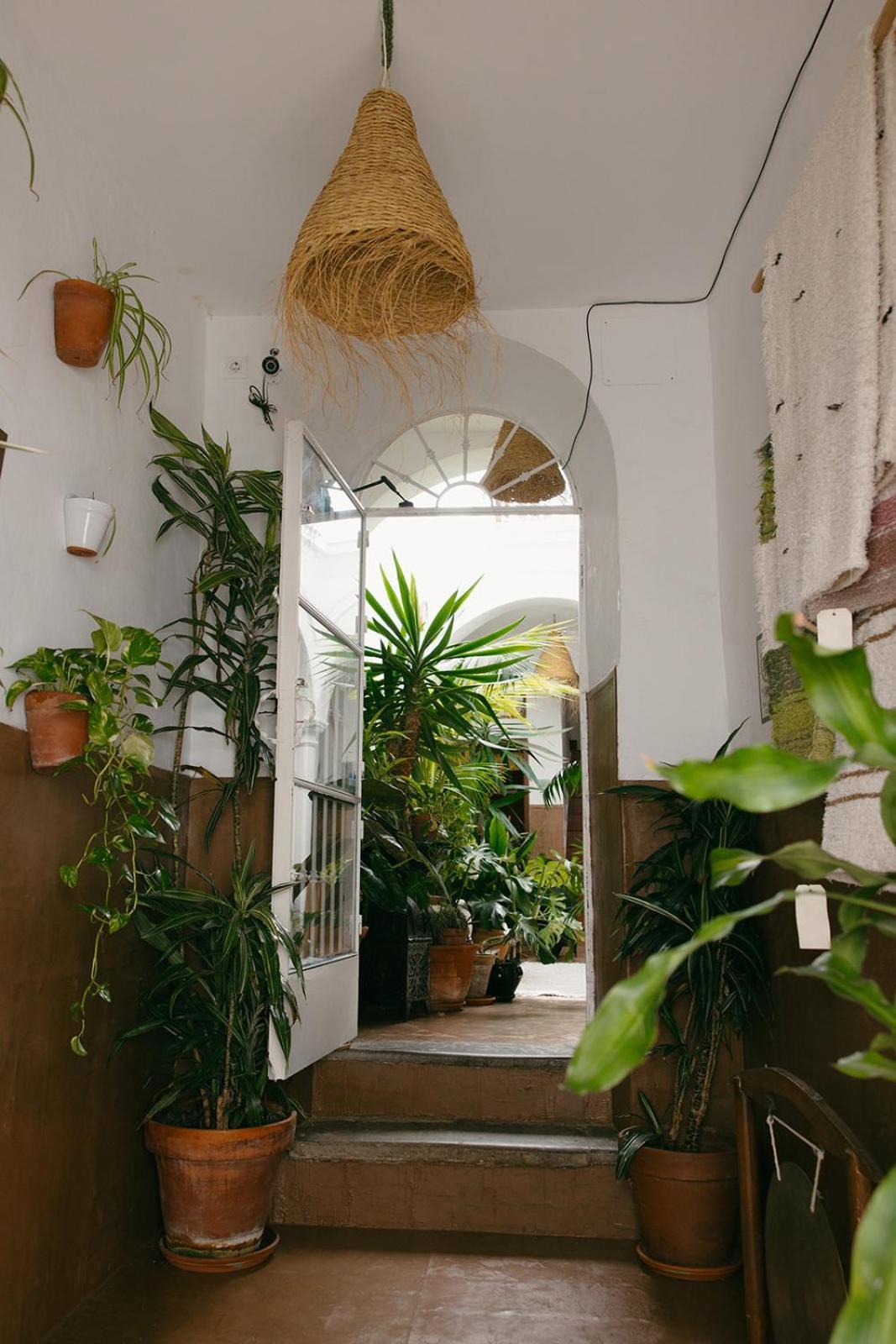 טריפה Hostal Africa מראה חיצוני תמונה