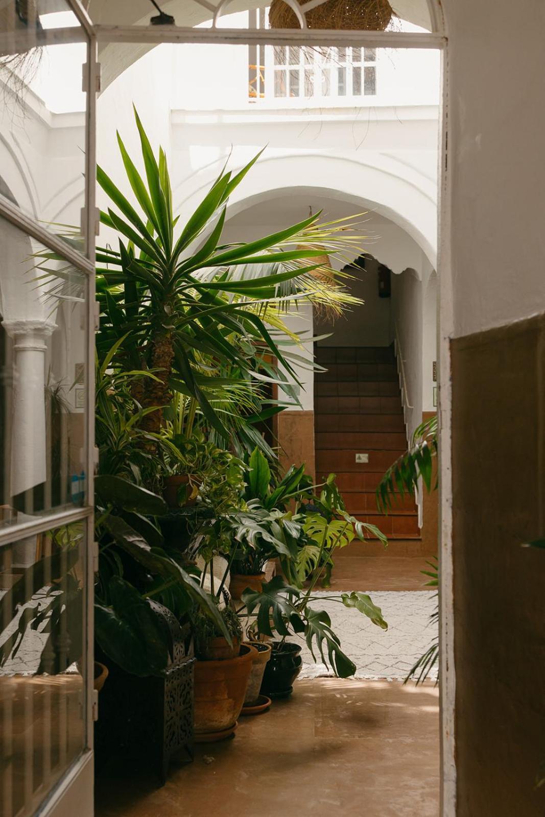טריפה Hostal Africa מראה חיצוני תמונה