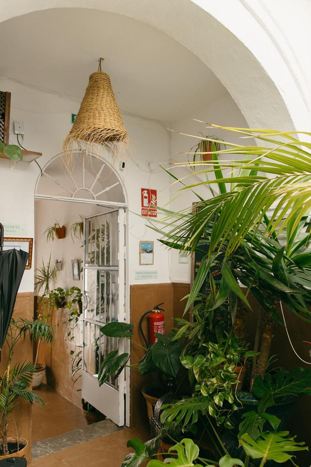 טריפה Hostal Africa מראה חיצוני תמונה